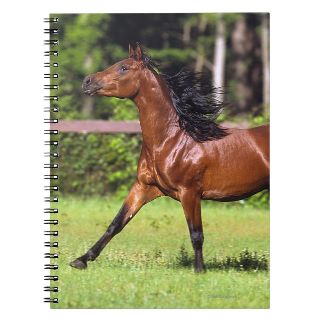 Arab Horse Running 2 Notebook (Front)