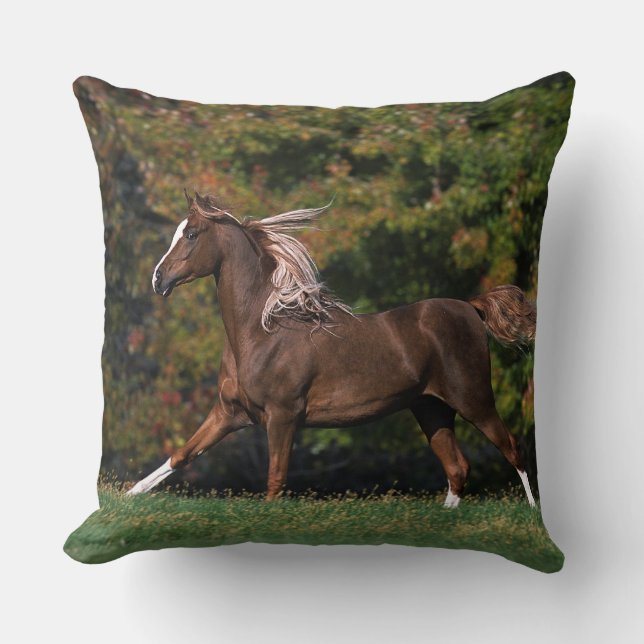 Arab Horse Running in Grassy Field Cushion (Front)