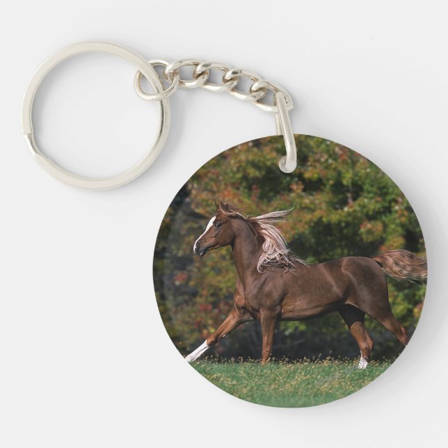 Arab Horse Running in Grassy Field Key Ring (Front)
