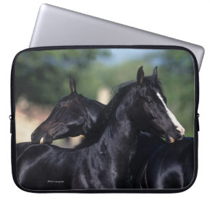 Arab Horse Scratching Laptop Sleeve