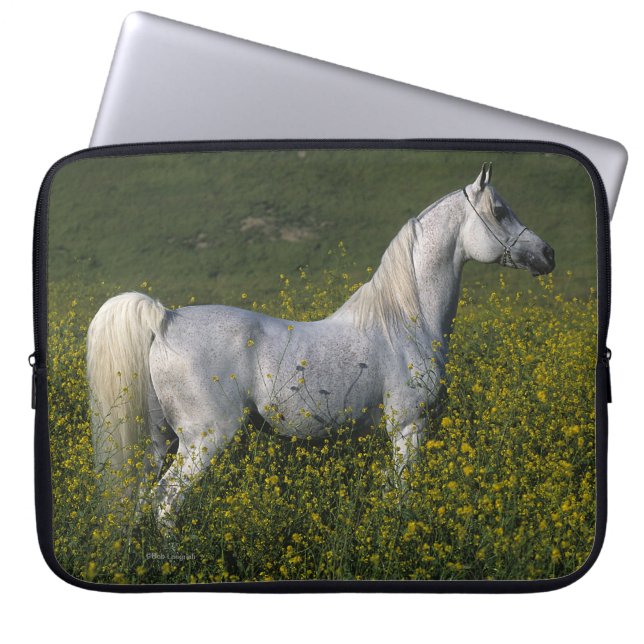 Arab Horse Standing in Flowers Laptop Sleeve (Front)