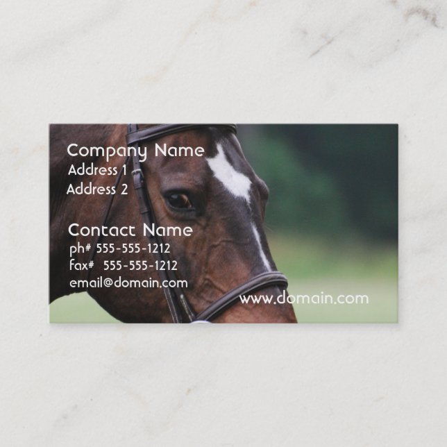 Arab Horse with White on Face Business Card (Front)