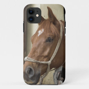 Arab Horses Case-Mate iPhone Case