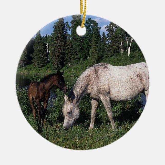 Arab Mare & Foal 2 Ceramic Tree Decoration (Front)
