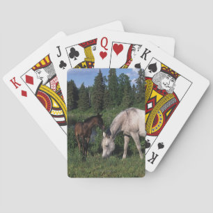 Arab Mare & Foal 2 Playing Cards
