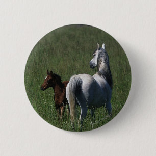 Arab Mare & Foal 6 Cm Round Badge