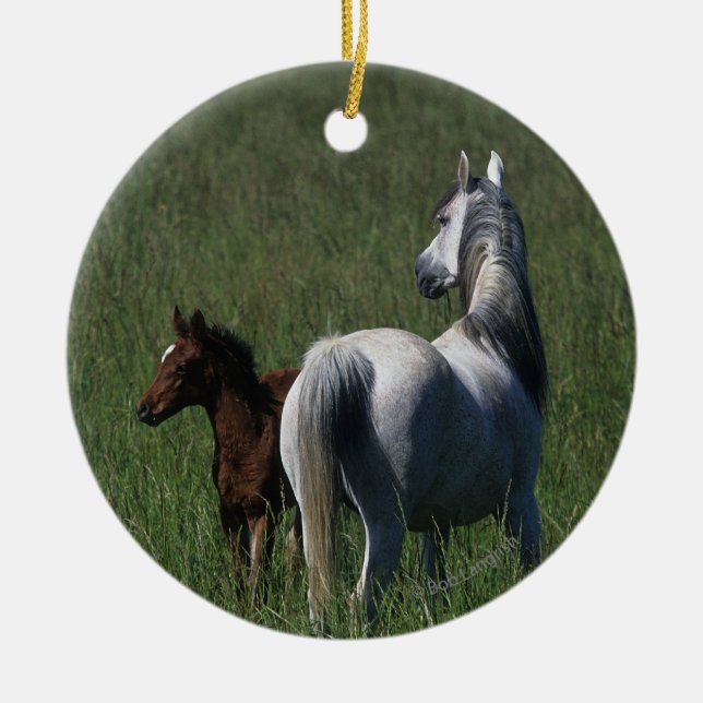 Arab Mare & Foal Ceramic Tree Decoration (Front)