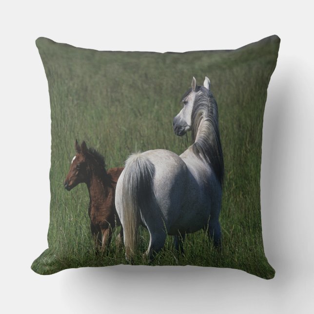 Arab Mare & Foal Cushion (Front)