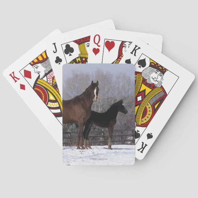 Arab Mare & Foal in Snow Playing Cards (Back)