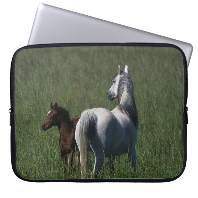 Arab Mare & Foal Laptop Sleeve (Front)