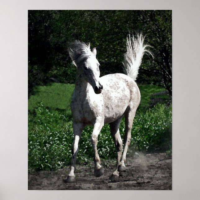 Arab Mare Poster (Front)
