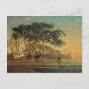 Arab Oasis, 1853 Postcard
