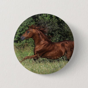 Arab Stallion Running in the Grass 6 Cm Round Badge