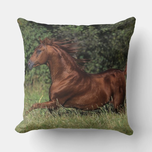 Arab Stallion Running in the Grass Cushion (Front)