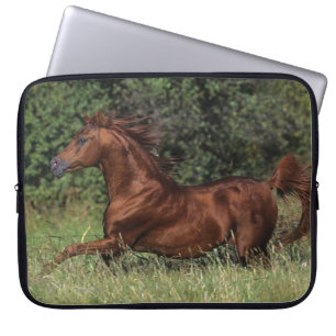 Arab Stallion Running in the Grass Laptop Sleeve