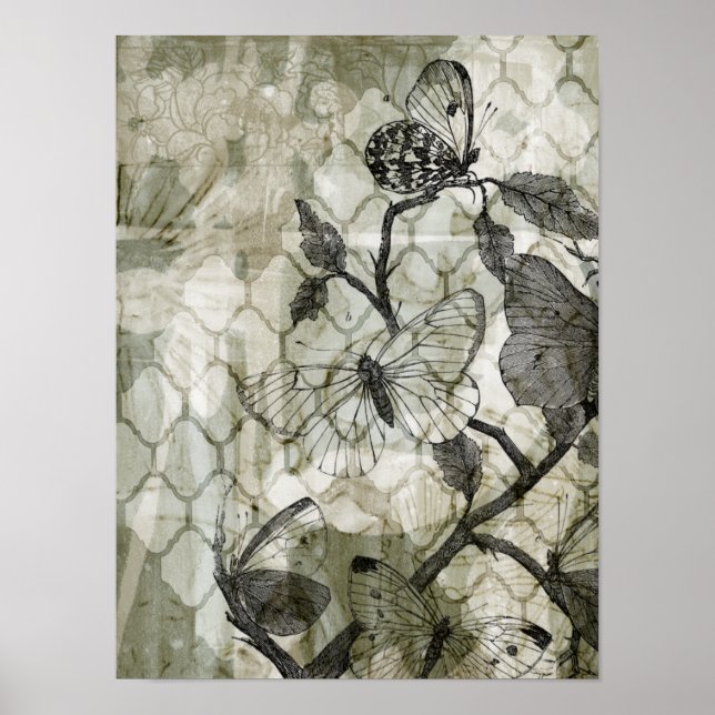 Arabesque Butterflies II Poster (Front)