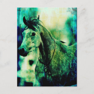 Arabian Blues Postcard