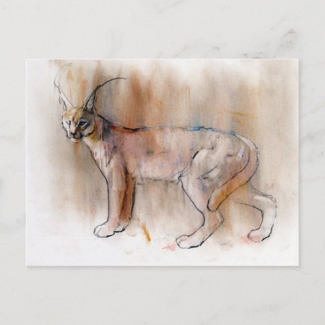 Arabian Caracal 2009 Postcard (Front)