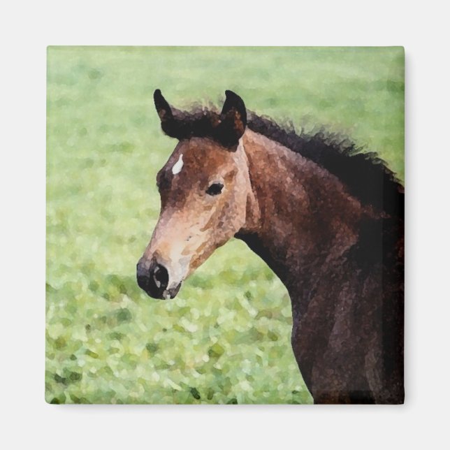 Arabian foal magnet (Front)