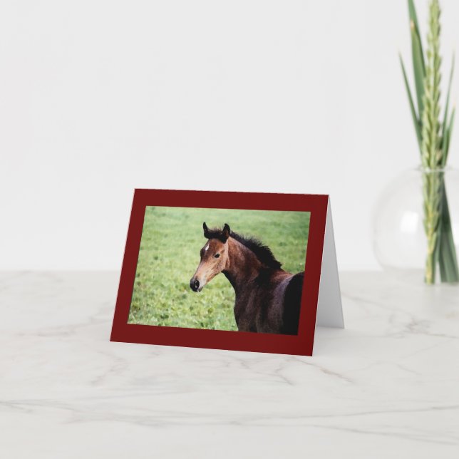 Arabian foal note card (Front)