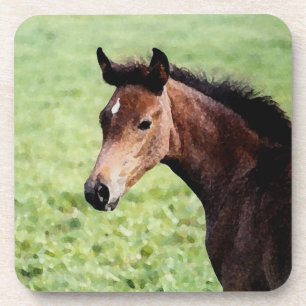 Arabian Foal watercolor coaster