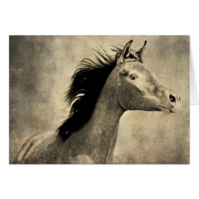 Arabian Horse (Front Horizontal)