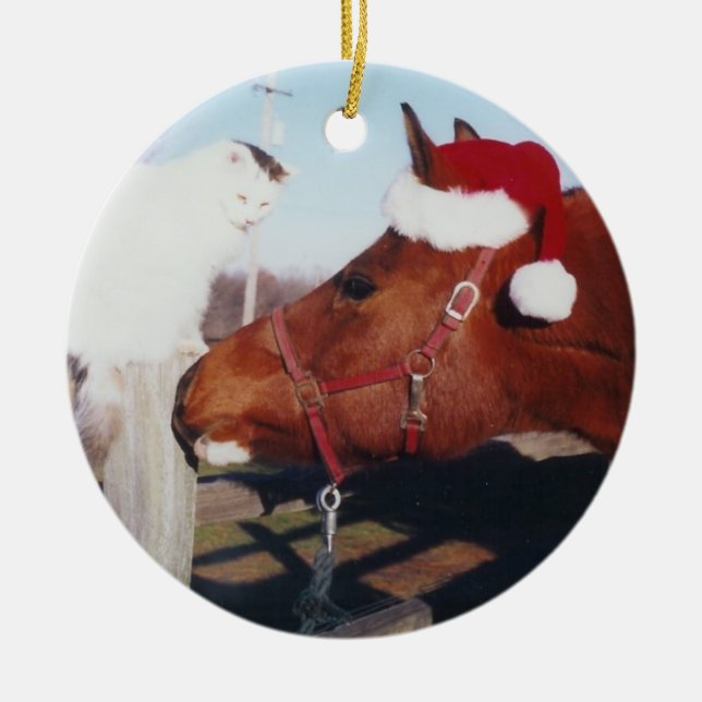 Arabian horse and cat Ornament (Front)