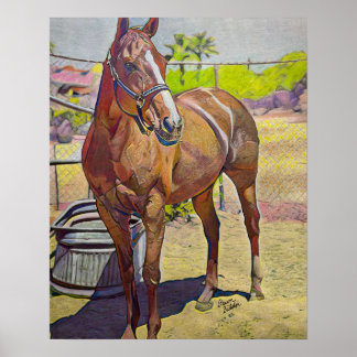Arabian Horse Art Poster