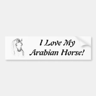 Arabian Horse Bumper Sticker
