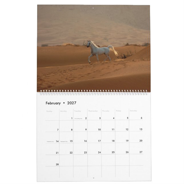 Arabian Horse Calendar 2019 (Feb 2027)