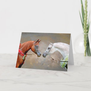 Arabian Horse Champions Greeting Card