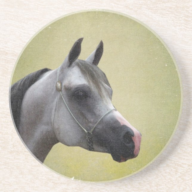 Arabian Horse Grunge Coaster (Front)