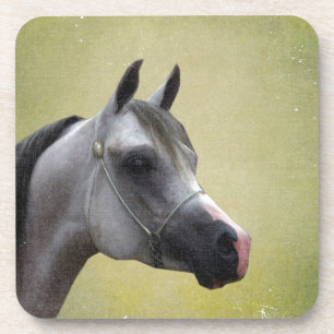 Arabian Horse Grunge Coaster