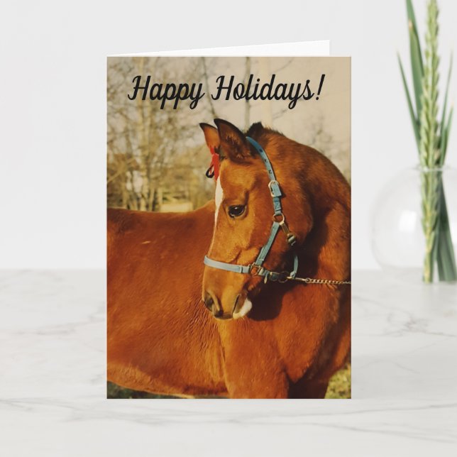 Arabian Horse Holiday Card (Front)