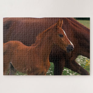 Arabian Horse Near Mother Jigsaw Puzzle
