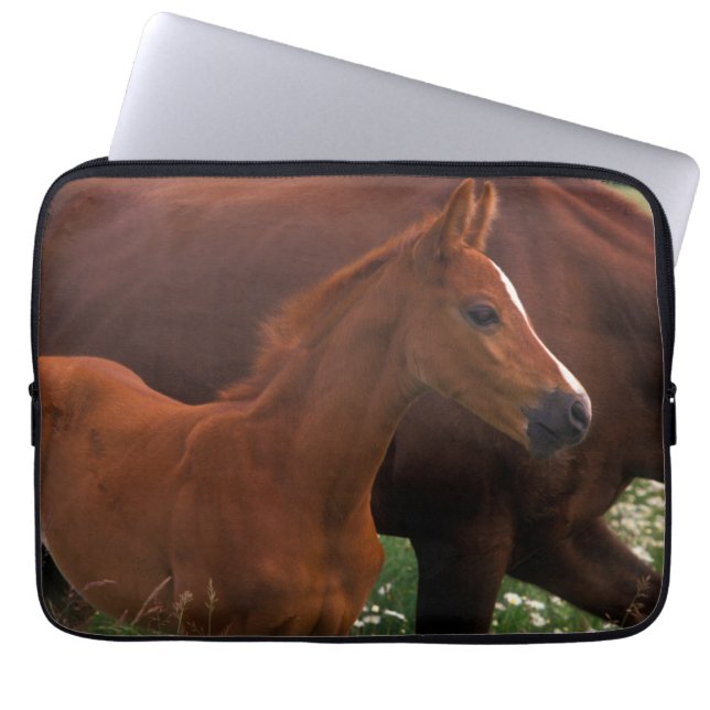 Arabian Horse Near Mother Laptop Sleeve (Front)