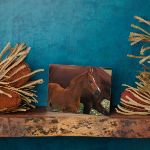 Arabian Horse Near Mother Plaque