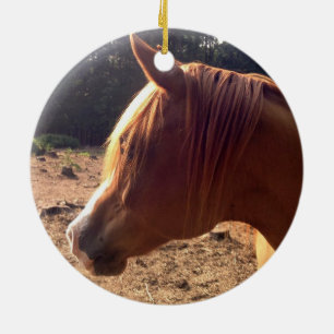 Arabian Horse Ornament