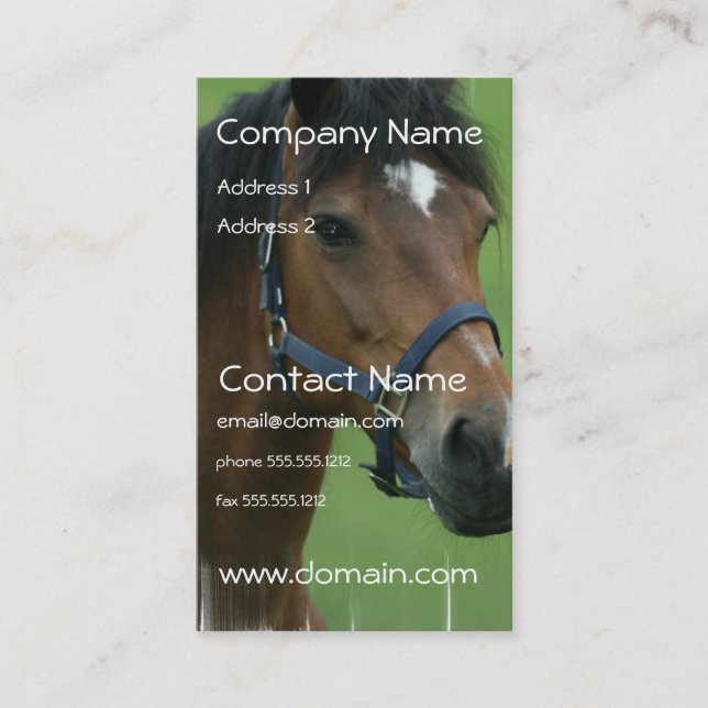 Arabian Horse Pictures Business Card (Front)