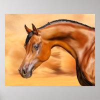 Arabian Horse