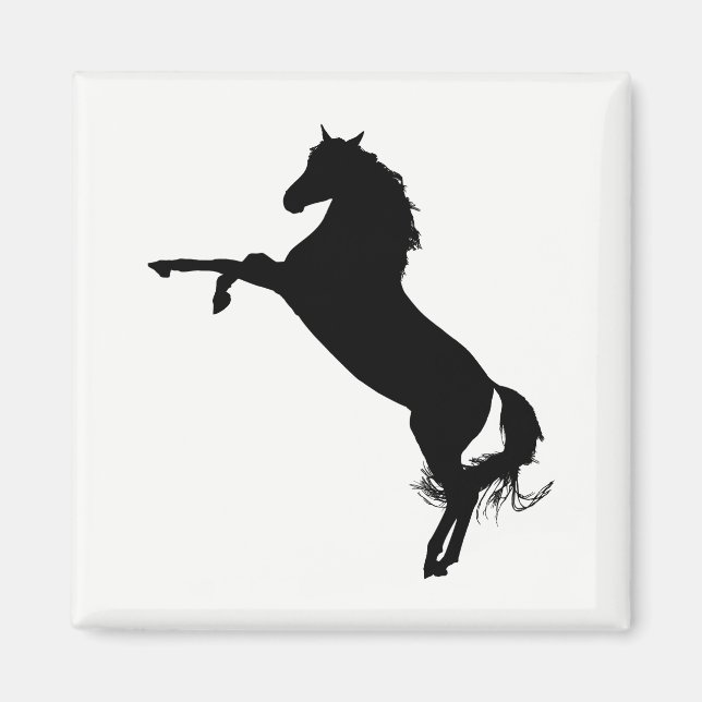 Arabian Horse Silhouette Magnet (Front)
