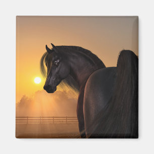 Arabian Horse Sunrise Magnet