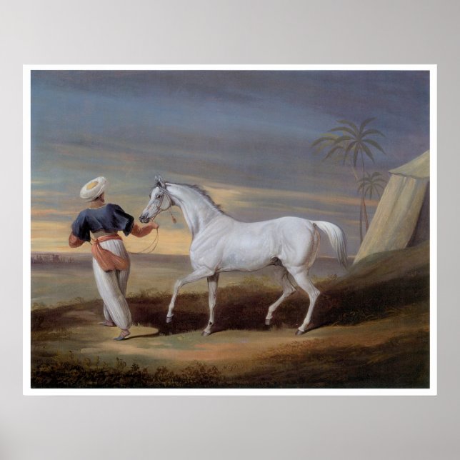 Arabian Horse Vintage Art Print Poster (Front)