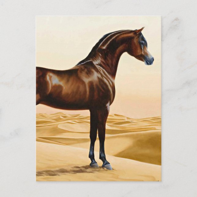 Arabian Horse - William Barraud Postcard (Front)