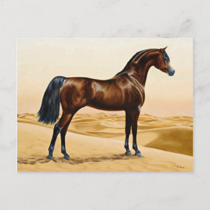 Arabian Horse - William Barraud Postcard