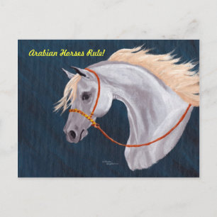 Arabian Horses Rule Postcard