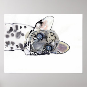 Arabian Leopard 2008 3 Poster
