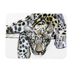 Arabian Leopard 2008 6 Magnet