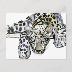 Arabian Leopard 2008 6 Postcard