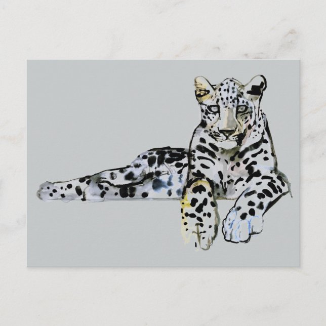 Arabian Leopard 2008  7 Postcard (Front)